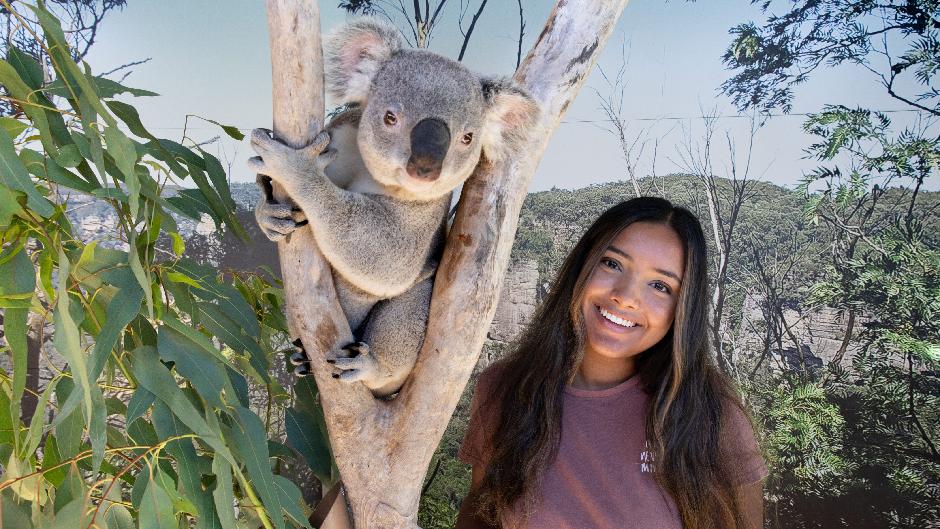 Embark on an unforgettable journey, our Blue Mountains Adventure Tour. An iconic blend of Aussie wildlife and breathtaking scenery including Scenic World, Waterfalls, Ferry, Sydney Zoo and FREE Koala photo.